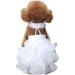 DELIFUR White Dog Wedding Dress Princess Fashion Dress for Small Medium Dogs(XS) X-Small