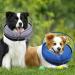 2-in-1 Inflatable Dog Collar | Recovery & Protective Collar for Dogs - Small Size - Buy Online on GoSupps.com