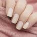 786 Cosmetics - Nourishing Nail Treatment Smoothes and Nourishes Nails to Make Healthy and Strong Nails Essential Vitamins and Minerals Strengthens Nails Healthier Nails Helps With Nail Growth - Buy Online on GoSupps.com