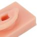 Soft Simulated Right Ear Model - Ideal for Acupuncture Training and Earrings Display (Light Skin Color) - Buy Online on GoSupps.com