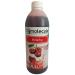 Buy Bubble Tea Pearl Popping Boba Set | 64-Piece Bubble Tea Kit - Strawberry Passion Fruit Apple Berry Syrup Peach Jasmine Tea Cups & Straws - International Shipping Available! - Buy Online on GoSupps.com