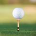 Zivisk Wooden Golf Tees 3-1/4" 2-3/4" 2-1/8" 1-1/2" Available 100 Count Bamboo Tee Golf (Natural Color White Black Green Blue Red Pink) 2 3/4 inch Natural Color - Buy Online on GoSupps.com