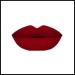 D lali Robinson Cosmetics -Color Me Bad -Weight 0.27 Fl. Oz Premium Long Lasting Moisturizing Kiss-Proof Mother's Day/Girlfriend Gift Cruelty Free Smudge-Proof Matte Liquid Lipstick (Kiss Me)