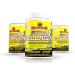Mammoth Super 7 Collagen 10g Grass Fed Bovine & Marine Sourced Collagen Types I & III Joint Health Immune Support Antioxidant CoQ10 Dairy Free Gluten Free 30 servings Unflavoured - Buy Online on GoSupps.com