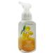 Buy Bath & Body Works Fresh and Fruity Foaming Hand Soaps Set of 5 - Black Cherry Japanese Blossom Peach Bellini & More | International Shipping Available - Buy Online on GoSupps.com