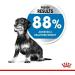 ROYAL CANIN Mini Light Weight Care - 3kg - Buy Online on GoSupps.com