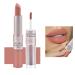 ICATHUNY 2 In 1 Matte Lipstick Long Lasting Lip glosses Highly Pigmented Color Waterproof Stay on Lipstick for Women and Girls (Pink 09)