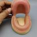 Fhuili Dental Implant Practice Model - Gum-Free Distental Model for Advanced Training - Buy Online on GoSupps.com