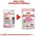 Royal Canin Kitten in Jelly Wet Cat Pouches 85g (Pack of 12) - Buy Online on GoSupps.com