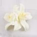5 Pieces Women's Big Double Chiffon Orchid Hair Clips - Artificial Tropical Flower Pins | Hawaii Hibiscus & Plumeria Hair Accessories - Buy Online on GoSupps.com