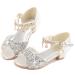 LFHT Little Kids Girls Sandals Glitter Rhinestone Dress Pumps Sequins Princess Low Heels Party Dance Shoes Silver 2 Little Kid