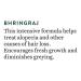Biotique Bhringraj Therapeutic Oil - 1100ml | Natural Hair Growth Oil | Buy Internationally - Buy Online on GoSupps.com