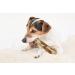 Artisan Poison CO Olive Wooden Stream for Dogs | 100% Natural - 2 Pack (L-20 cm) | Perfect for 25-40 kg Dogs - Buy Online on GoSupps.com