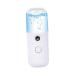 Healeved 1pc Air Humidifier Mist Sprayer Mini Humidifier Skin Moistener Spray Humidifier Portable Humidifier