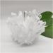 Home Decor 1pcs Natural Raw Quartz White Clear Crystal Cluster Stones Crystal Point Specimen Home Decoration Raw Crystals Mi Soothing Crystal Household Crystal Cluster (Size : 600-700g) - Buy Online on GoSupps.com