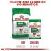 Royal Canin Mini Ageing 12+ Wet Dog Food 85g (24 Pack)'Royal Canin Mini Ageing 12+ Wet Dog Food 85g (24 Pack) - Buy Online on GoSupps.com