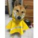 Adjustable Rapid Drying Dog Rain Coat with Hood - Waterproof Pet Jacket for Lurcher Bulldog Cavapoo - Yellow XL 23.6 - Buy Online on GoSupps.com