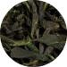  Lerbs & Hagedorn China Vietnam Rainforest Jasmine Cat 2 Kg - Buy Online on GoSupps.com