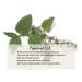 Kneipp Aromatherapy Set: Lavender & Eucalyptus Bubble Bath Duo - Buy Online on GoSupps.com