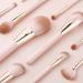 12-Piece Powder Makeup Brush Set | Concealer Foundation & Eye Shadow Brushes - Perfect for Flawless Beauty - Buy Online on GoSupps.com