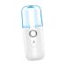 Angoily Nano Water Replenishing Instrument Face Steamer Humidifer Handheld Steamer Face Humidifier Spray Set