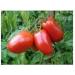 30 San Marzano Semi 3 Tomato 2017 ($ 3.00 Max Shipping!) - Buy Online on GoSupps.com