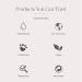 CLEAN CLASSIC Eau de Parfum - Light, Casual, Layerable Perfume Spray - 1 Fl Oz - Vegan & Phthalate-Free - Buy Online on GoSupps.com