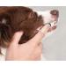 Arm & Hammer Puppy Dental Kits Coconut Fresh - Includes Toothpaste Toothbrush and Finger Brush. Reduces Plaque and Tartar for Healthy Gums - Buy Online on GoSupps.com