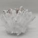 Home Decor 1pcs Natural Raw Quartz White Clear Crystal Cluster Stones Crystal Point Specimen Home Decoration Raw Crystals Gifts Natural Crystal (Size : 700-800g) Crystal Cluster (Size : 300-400g) - Buy Online on GoSupps.com
