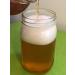 IBIV Kombucha Scoby: Live Strong Starter Culture for Healthy Raw Fermented Tea - 1 Cup Makes 1 Gallon - Buy Online on GoSupps.com