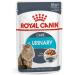 Royal Canin Urinary Care Gravy - Double Pack (2 x 12 x 85g) | Small Pieces in Sauce for Balanced Mineral Urine - Ideal for Your Cat's Health - Buy Online on GoSupps.com