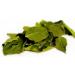 Virgolden Kaffir Lime Leaves 10g - Pure Natural and Aromatic Flavor - Buy Online on GoSupps.com