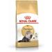 Royal Canin Persian Adult Dry Cat Food 4 x 400g - Buy Online on GoSupps.com