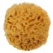 Natural Sea Wool Sponge 4-5 by Spa Destinations   Amazing Natural Renewable ResourceCreating The in Perfect Bath and Shower Experience