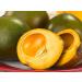 Organic Lucuma Powder imported from Peru.100% Pure. No Sugar Added. USDA certified Organic (200 g) No Preservatives. - Buy Online on GoSupps.com