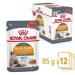 Royal Canin Hair & Skin Care Wet Cat Food in Gravy 48 x 85g - Buy Online on GoSupps.com