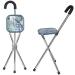 Walking Stick with Seat Stainless Steel Portable Folding Cane Seat Cane Unisex Lightweight Travel Crutch for The Elderly for Elderly Gift - Buy Online on GoSupps.com