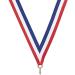 Express Medals 10 Pack Soccer Award Medals with Neck Ribbons - Trophy Prize Gift - Buy Online on GoSupps.com