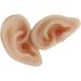 Simulation Ear Model - 1 Pair Soft Silicone Artificial Ear Model - Acupuncture Practice Human Left Right Ear Model - for Piercing Practice Jewelry Display Props - Buy Online on GoSupps.com