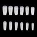 Transparent Natural False Nail Tips Extension Cover Artificial Fake Nails Finger Sculpted-Manicure Tools Salon-Home DIY Nail Tips Refill-packs Medium Square Acrylic Glue-gel Kit With Uv Light Square & nature