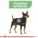 ROYAL CANIN Digestive Care Adult Wet Dog Food 85g (12 Pack) - Buy Online on GoSupps.com