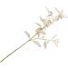 Zerodeko 2 Pcs Fake Eucalyptus Faux Branches Wedding Eucalyptus Leaf Eucalyptus Flower Arrangement Desk Wedding Washi Tape Green Decor Home Decor Artificial Eucalyptus Leaf Paris With Fruit Light Pinkx2pcs 72 5cmx2pcs - Buy Online on GoSupps.com