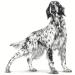 ROYAL CANIN Urinary S/O Moderate Calorie Wet Dog - 12 x 100g - Buy Online on GoSupps.com