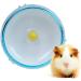 Itian Silent Hamster Running Wheel Toy for Small Animals - Blue - Buy Online on GoSupps.com