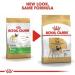 Royal Canine Adult Carlino 1.5Kg 1500 g - Buy Online on GoSupps.com