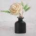 150 ml Refillable Matt Black Glass Diffuser Bottle for Essential Oils | Aromatherapy DIY Fragrance Container | Elegant Craftsmanship - Buy Online on GoSupps.com
