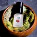 RawChemistry Pheromone Cologne for Him - Bold Attract Formula, 1 oz Extra Strength - Buy Online on GoSupps.com