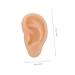 FOMIYES Silicone Ear Practice Model - Realistic Fake Ears for Teaching & Medical Training | Ideal for Simulated Ear Practice - Buy Online on GoSupps.com