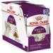 Royal Canin Sensory Smell in Jelly Wet Cat Food 85g (Pack of 48) - Buy Online on GoSupps.com