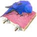 WANBAO Bird Perch Stand Grinding Paw Natural Wood Platform - Mixed Colors - Buy Online on GoSupps.com